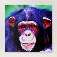 Chimpanzee - Animal Art İllustration Painting