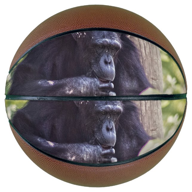 Chimpanzee Basketball (Front)
