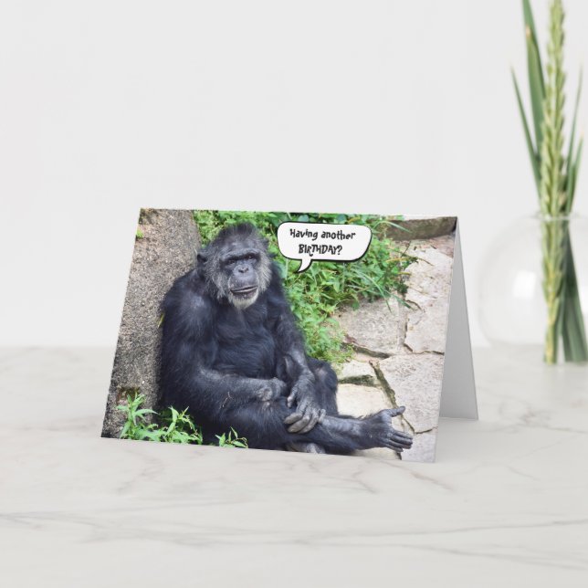 Chimpanzee Birthday Humour Card (Front)