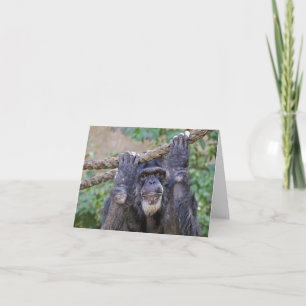 Chimpanzee Birthday Humour Card