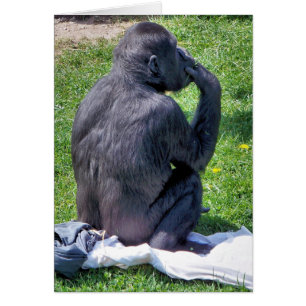 CHIMPANZEE Card