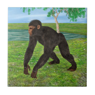 Chimpanzee Ceramic Tile