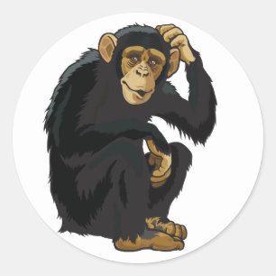 chimpanzee classic round sticker