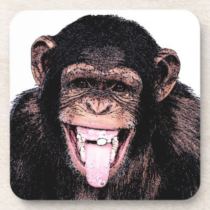 Chimpanzee Coaster