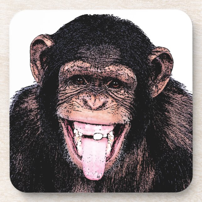 Chimpanzee Coaster (Front)