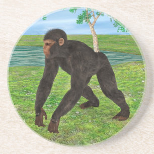 Chimpanzee Coaster