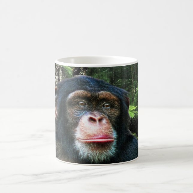 CHIMPANZEE CONSERVATION WILDLIFE Mug (Center)