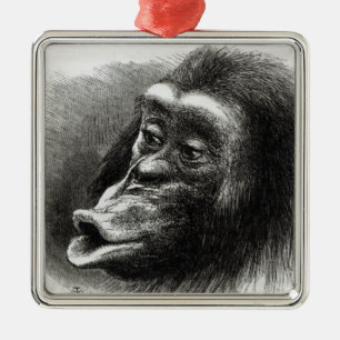 Chimpanzee Disappointed and Sulky Metal Ornament