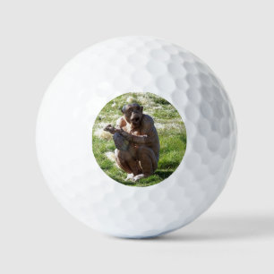 CHIMPANZEE GOLF BALLS