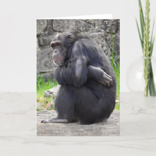 Chimpanzee Greeting Card