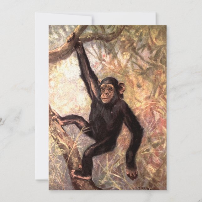 Chimpanzee Hanging in Tree (Front)