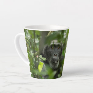 Chimpanzee Hidden Amongst Vegetation Latte Mug