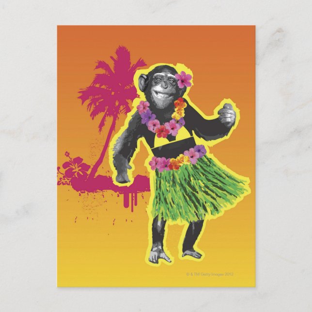 Chimpanzee Hula Dancing Postcard (Front)