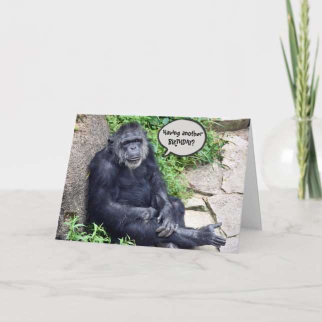Chimpanzee Humourous Birthday Card (Front)