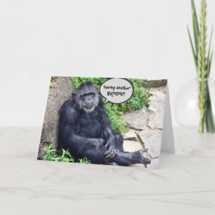 Chimpanzee Humourous Birthday Card