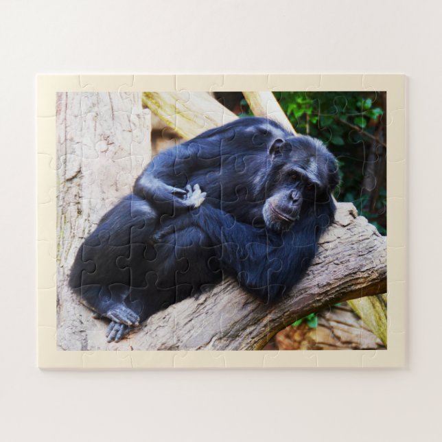 Chimpanzee Jigsaw Puzzle (Horizontal)
