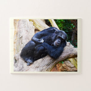 Chimpanzee Jigsaw Puzzle