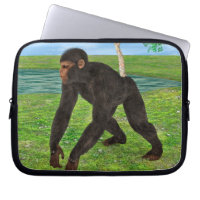 Chimpanzee
