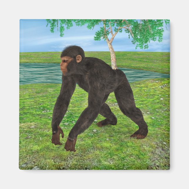 Chimpanzee Magnet (Front)