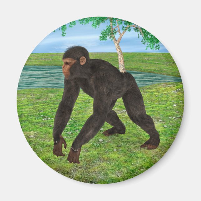 Chimpanzee Magnet (Front)