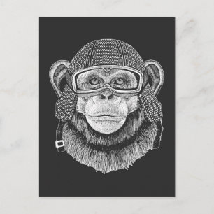 Chimpanzee Motorcycle Rider Postcard