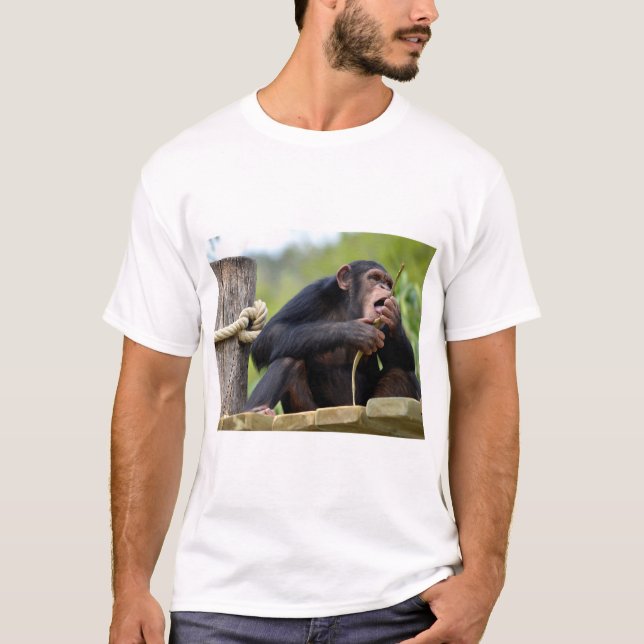 Chimpanzee on plank and eating a bark tree postcar T-Shirt (Front)