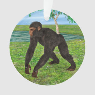 Chimpanzee Ornament