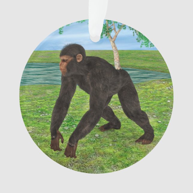 Chimpanzee Ornament (Front)