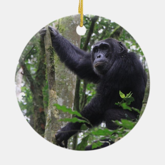Chimpanzee Ornament (Back)