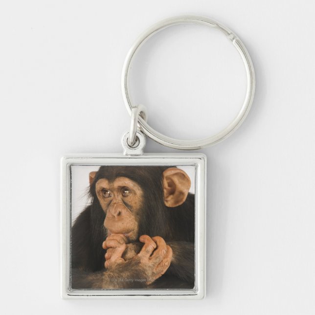 Chimpanzee (Pan troglodytes). Young playfull 2 Key Ring (Front)