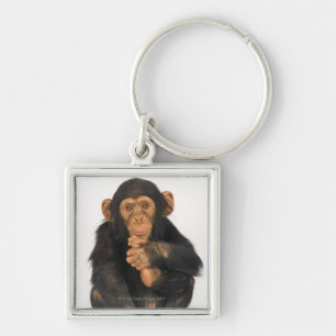 Chimpanzee (Pan troglodytes). Young playfull Key Ring