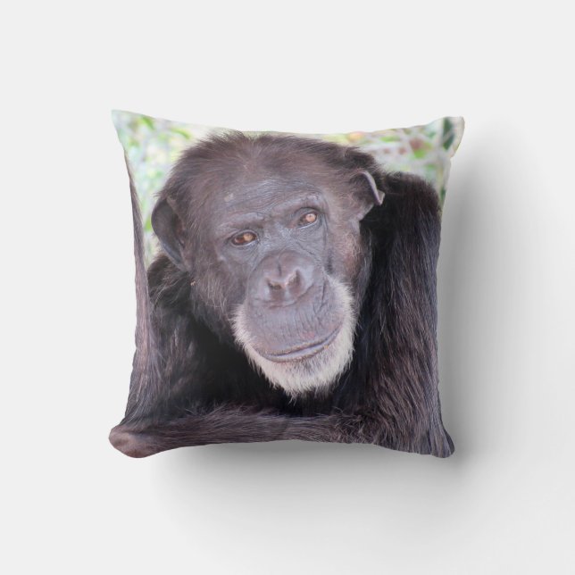 Chimpanzee Pillow (Front)