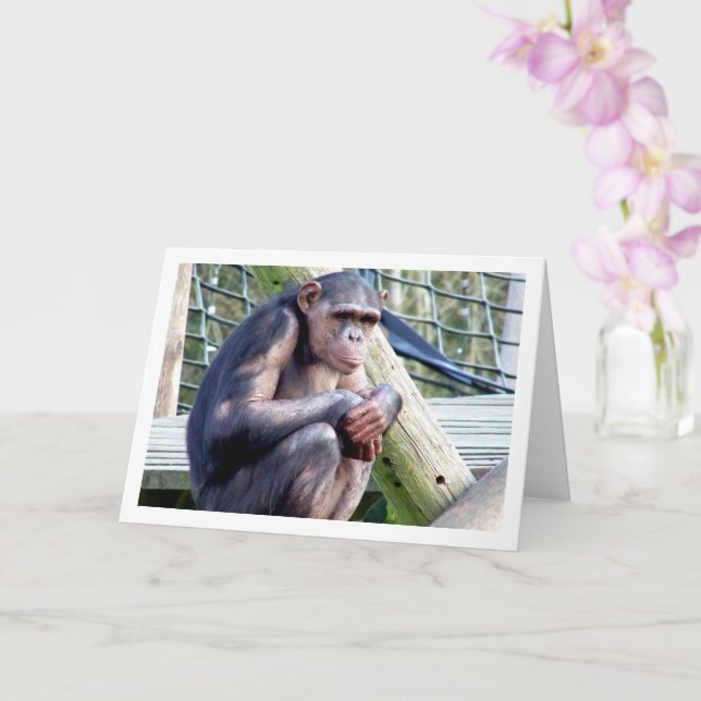 Chimpanzee Portrait Card (Orchid)