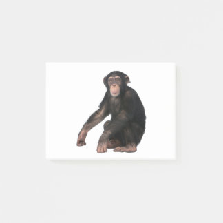 Chimpanzee Post-it Notes