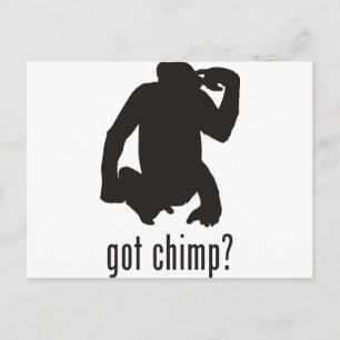 Chimpanzee Postcard