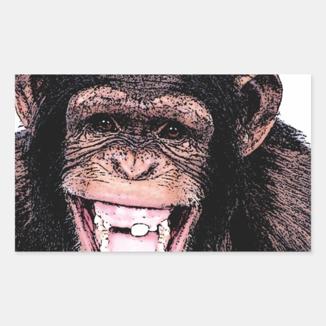 Chimpanzee Rectangular Sticker (Front)