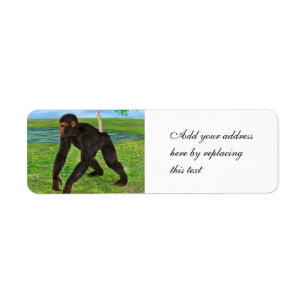 Chimpanzee Return Address Label