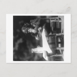 Chimpanzee Seated at Table at National Zoo Postcard