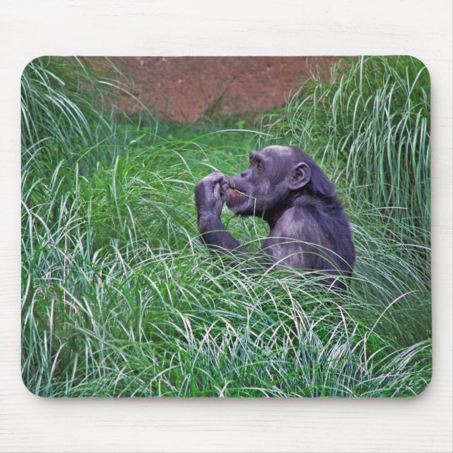 Chimpanzee Sitting In Tall Grass Mouse Pad (Front)