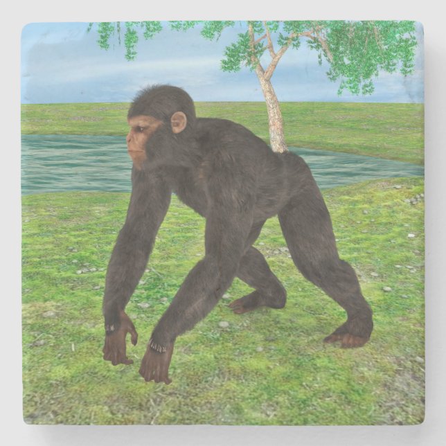 Chimpanzee Stone Coaster (Front)