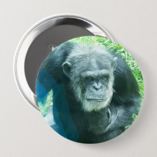 Chimpanzee Thinking 10 Cm Round Badge