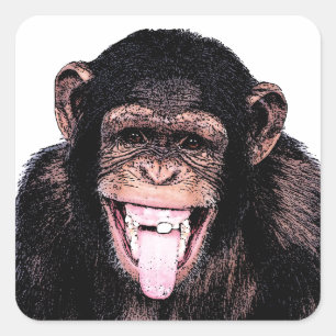Chimpanzee Tongue Square Sticker