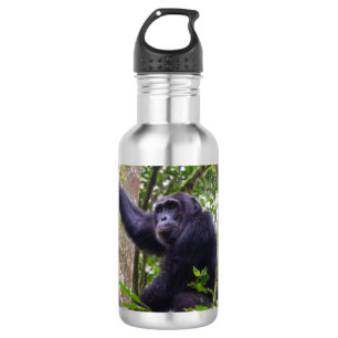 Chimpanzee water bottle
