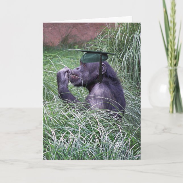 Chimpanzee with Green Graduation Cap Card (Front)