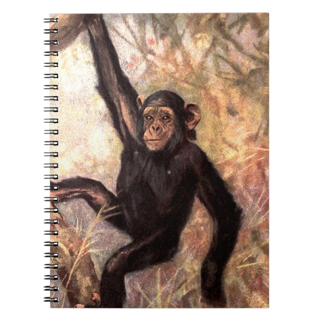 chimpanzeehangingintree002_original notebook (Front)