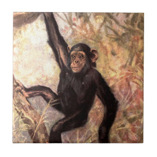 chimpanzeehangingintree002_original tile