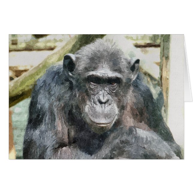 CHIMPANZEES Card (Front Horizontal)