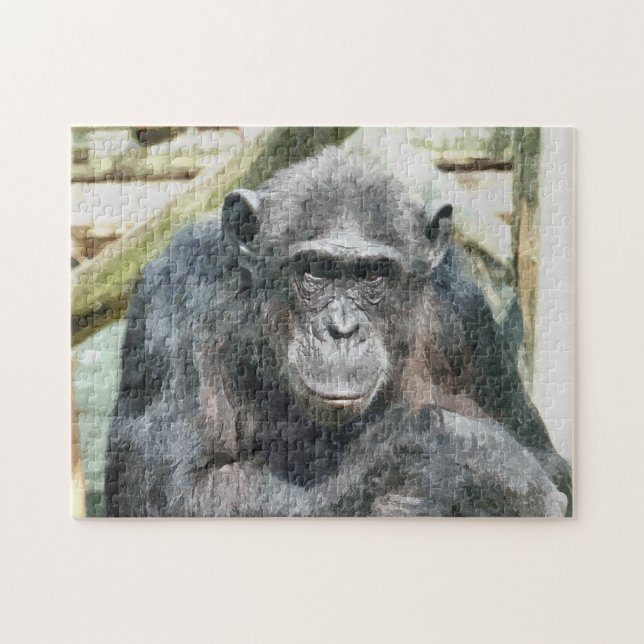 CHIMPANZEES JIGSAW PUZZLE (Horizontal)