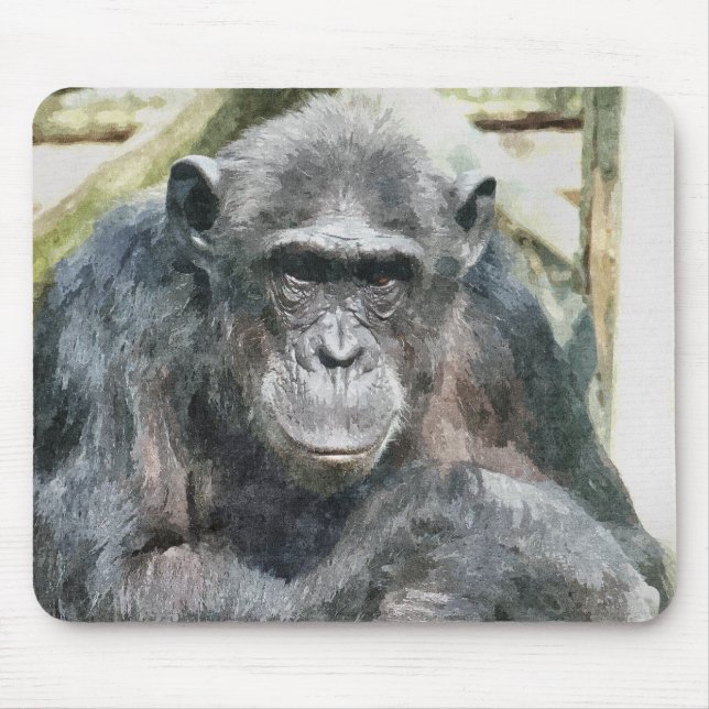 CHIMPANZEES MOUSE PAD (Front)