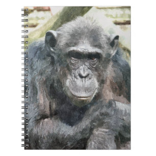 CHIMPANZEES NOTEBOOK